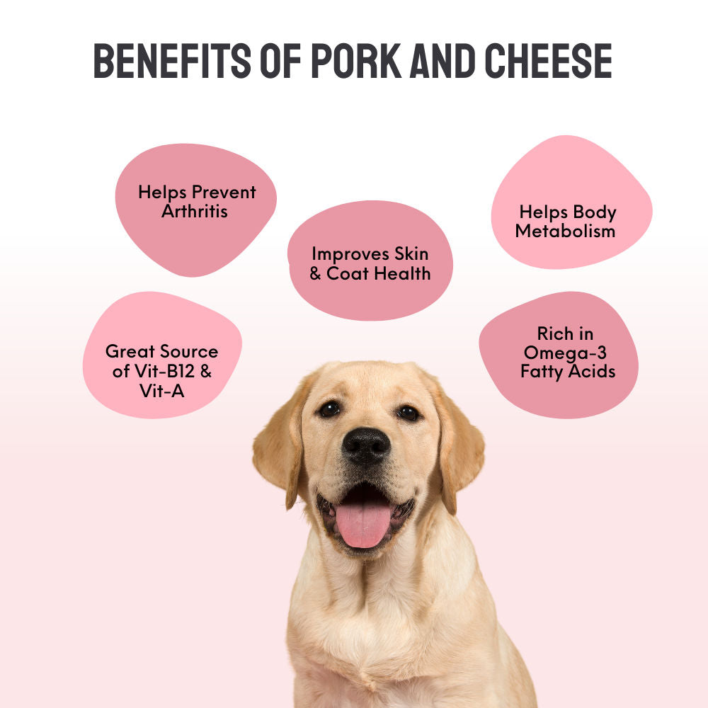 Floof & Co Classic Bacon Cheese Dog Treats — back view
