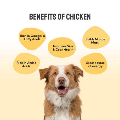 Floof Co Smoked Chicken Jerky Dog Treats 3 - Image 3