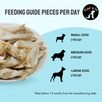 Floof Co Snappy Sardine Snacks Dog Treats 2 - Image 3