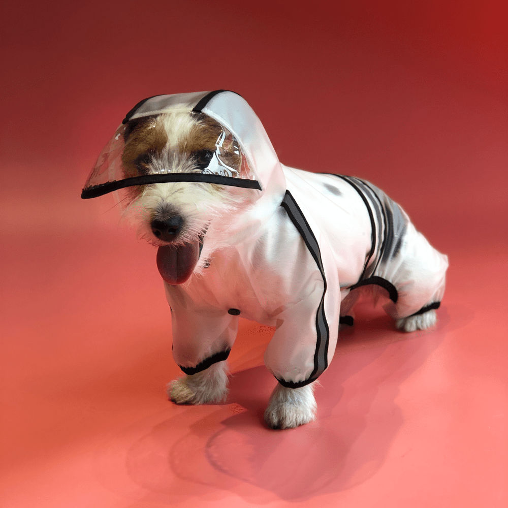 fofos-four-leg-raincoat-for-pets-black XL