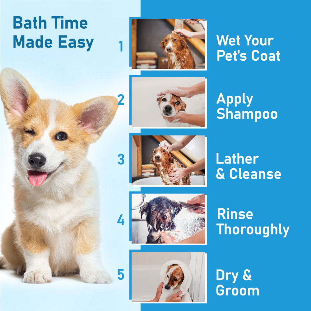 Forbis/Forcans Mild Olive Shampoo for Puppies & Kittens — in use