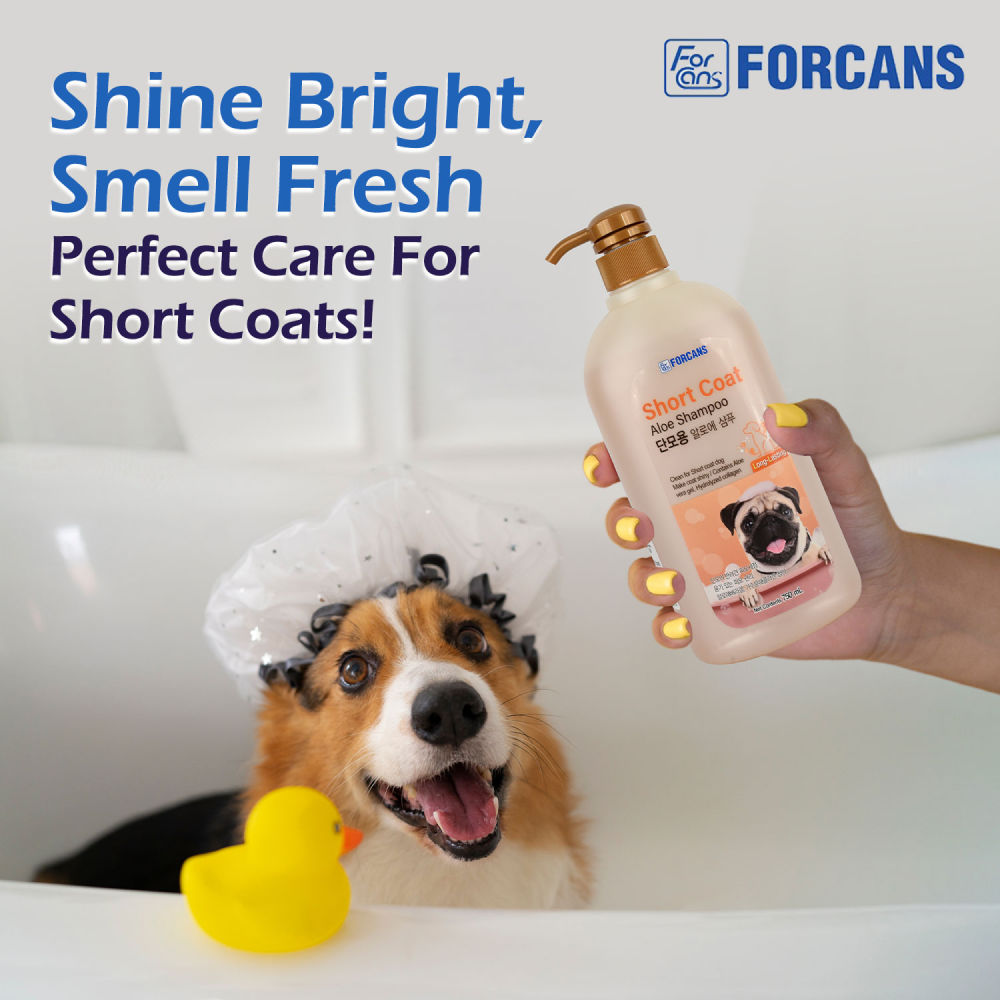 Forbis/Forcans Short Coat Aloe Shampoo for Dogs — in use