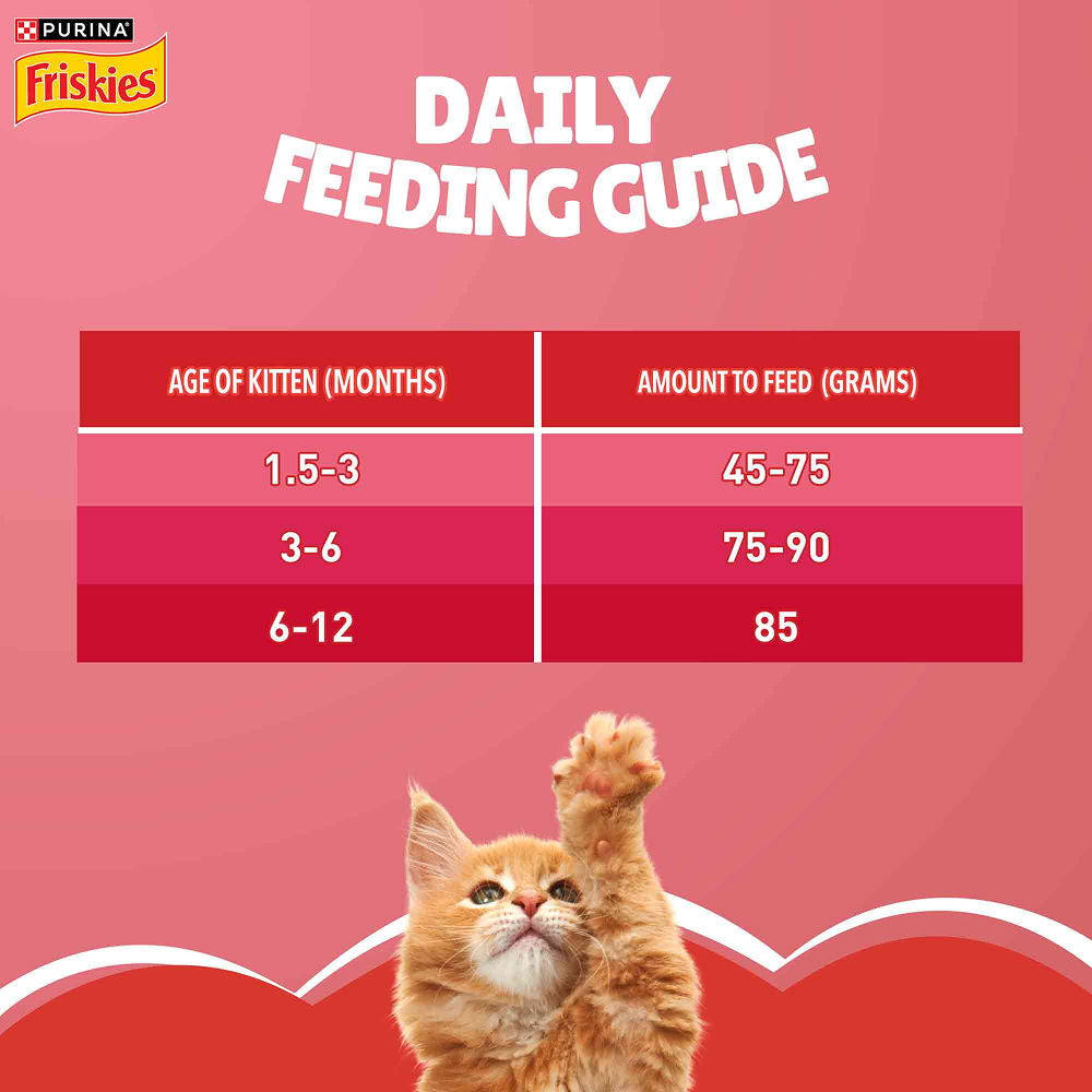 Purina Friskies Kitten Cat Dry Food — in use