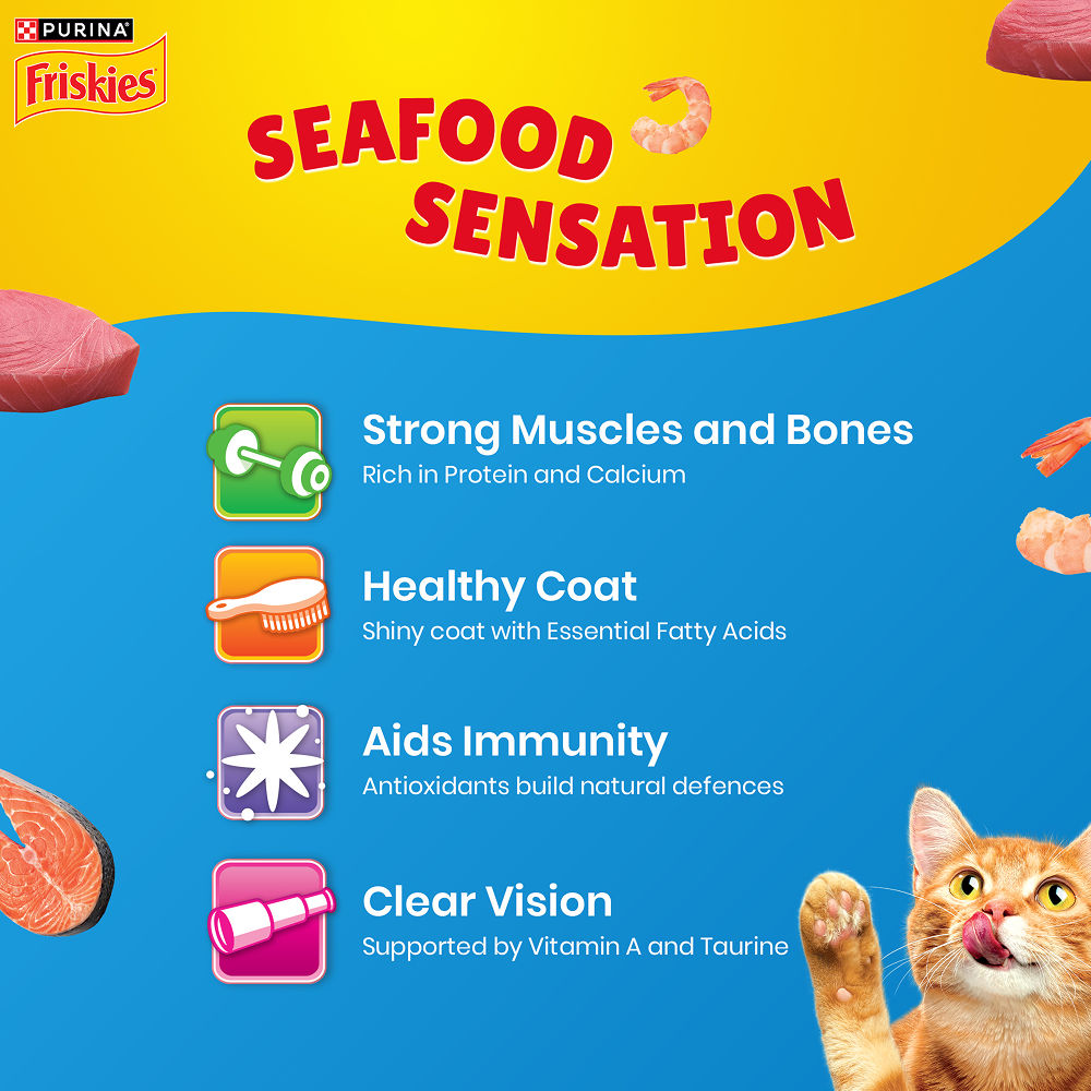 Purnia Friskies Seafood Cat Dry Food — detail shot