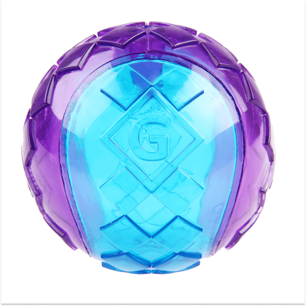 Gigwi Ball Squeaker Toy For Dogs Blue Purple