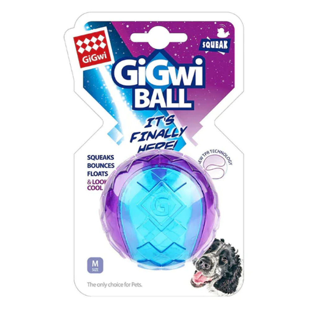 GiGwi Ball Squeaker Toy for Dogs (Blue/Purple) | For Medium Chewers — in use