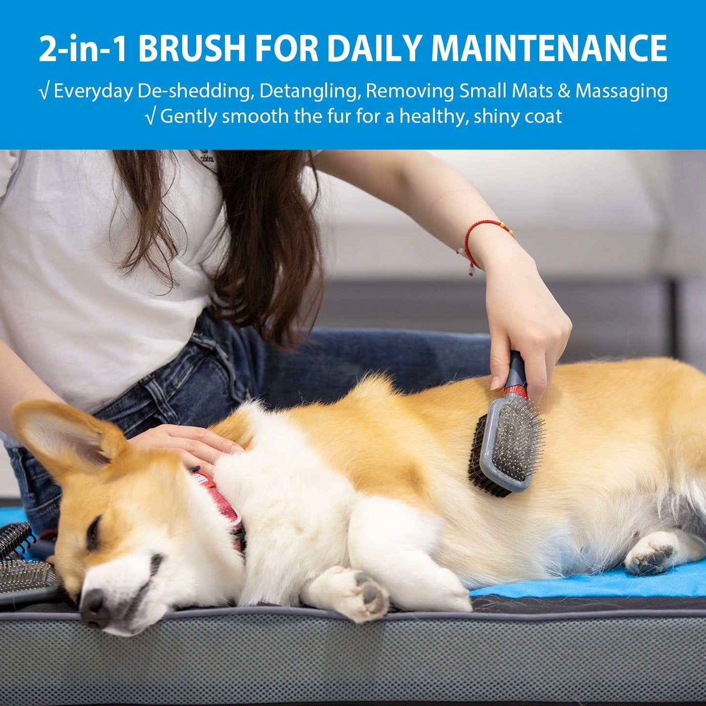 Gigwi Double Sided Brush With Bristles And Pins For Dogs And Cats - Image 3