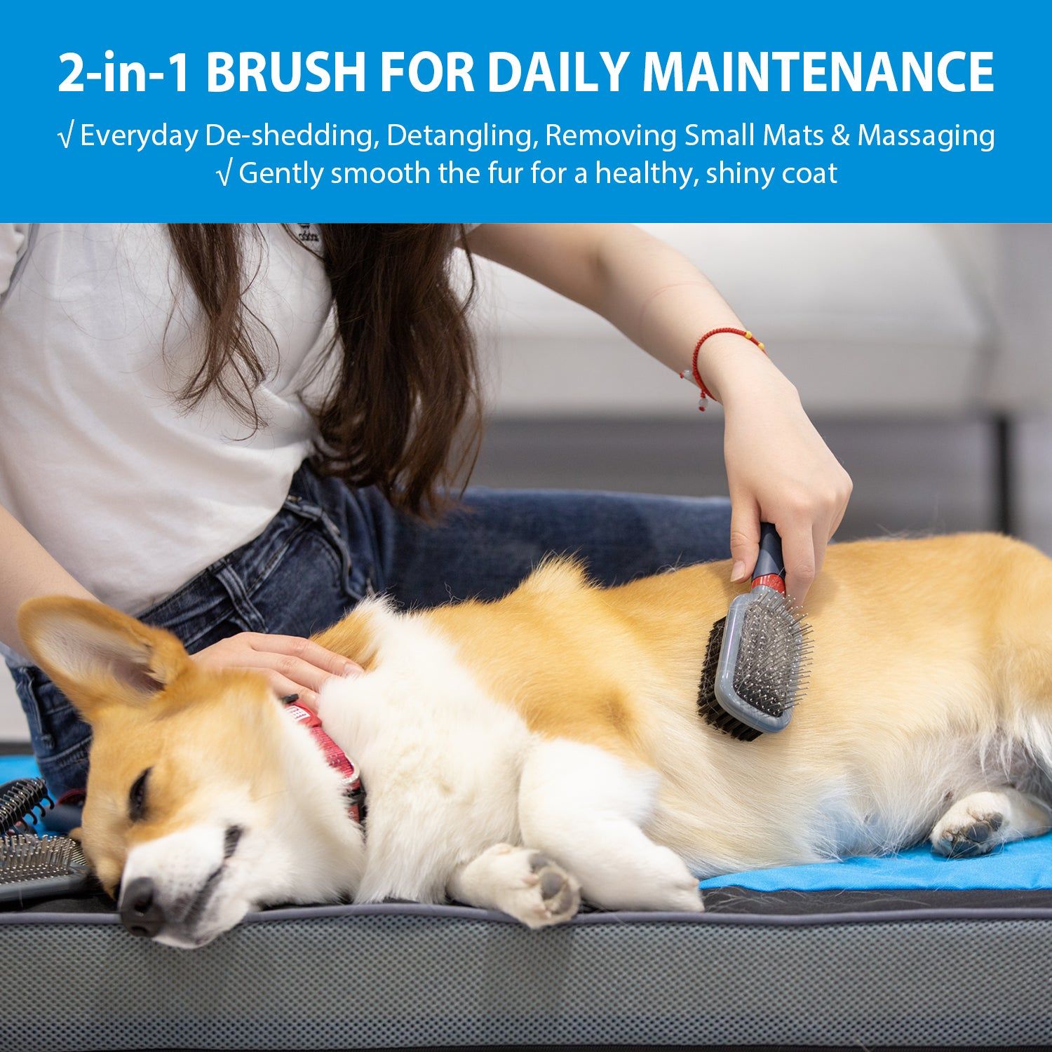 Gigwi Double Sided Brush With Bristles And Pins For Dogs And Cats - Image 3
