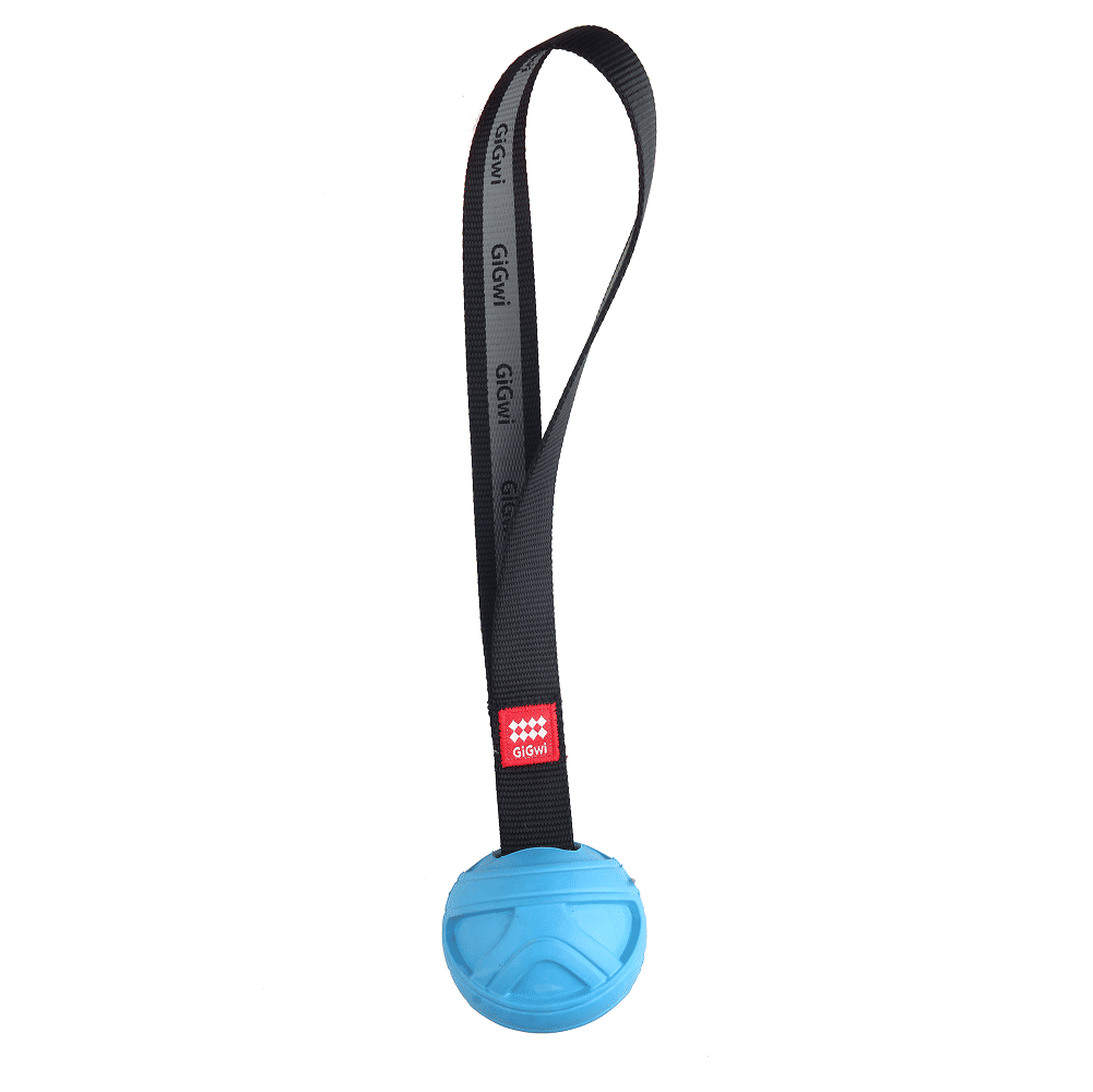 GiGwi Go! Fetch Slinger Ball Toy for Dogs — in use