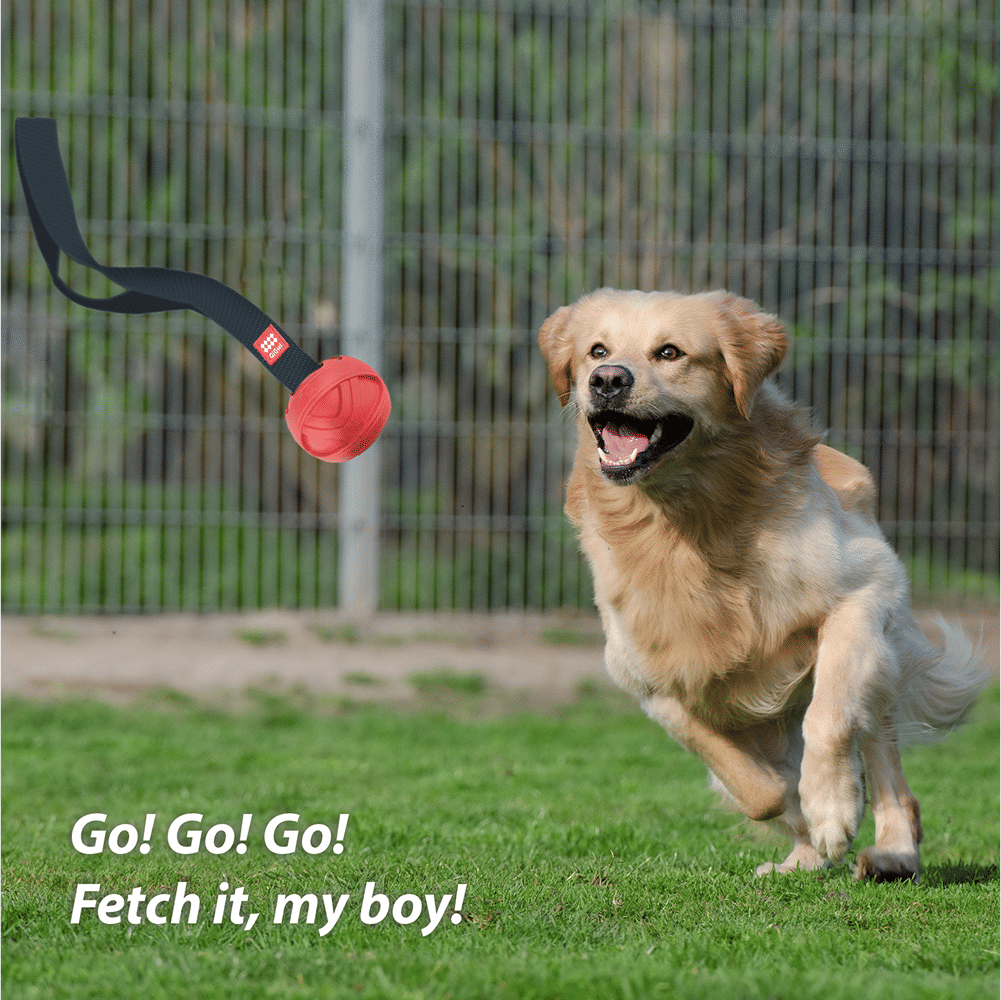 GiGwi Go! Fetch Slinger Ball Toy for Dogs — in use