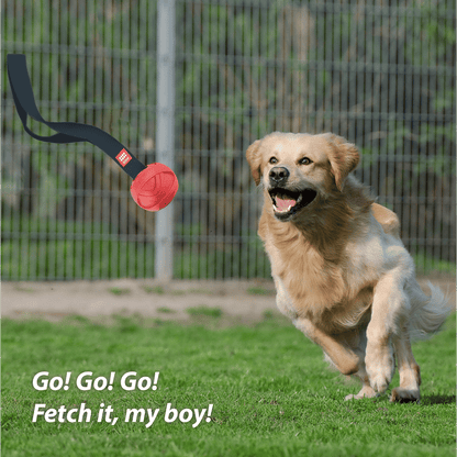 GiGwi Go! Fetch Slinger Ball Toy for Dogs — in use
