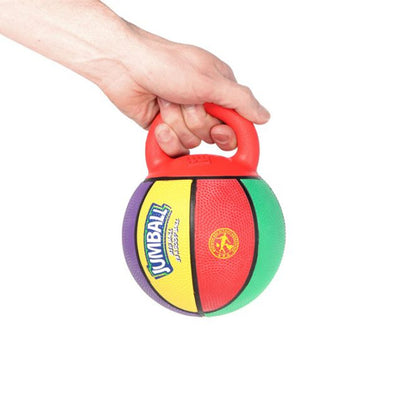 GiGwi JUMBALL Basketball Mini Toy for Dogs — in use