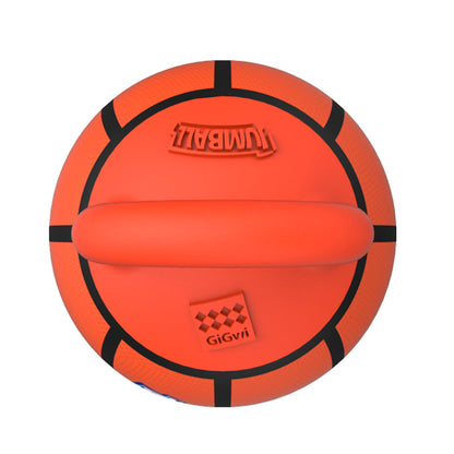 GiGwi JUMBALL Basketball Toy for Dogs — in use