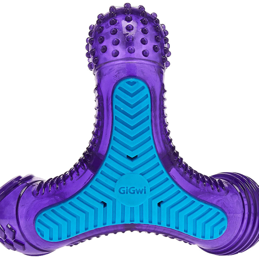 GiGwi Multi-Sounds Bone Toy for Dogs — in use