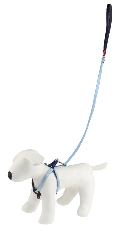 GiGwi Premium Line Harness for Dogs — in use