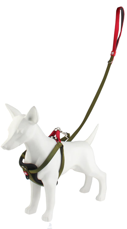 GiGwi Premium Line Harness for Dogs — detail shot