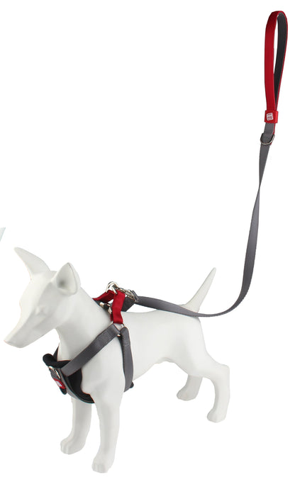 GiGwi Premium Line Harness for Dogs — back view