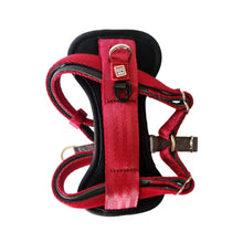 Gigwi Premium Line Harness For Dogs Red