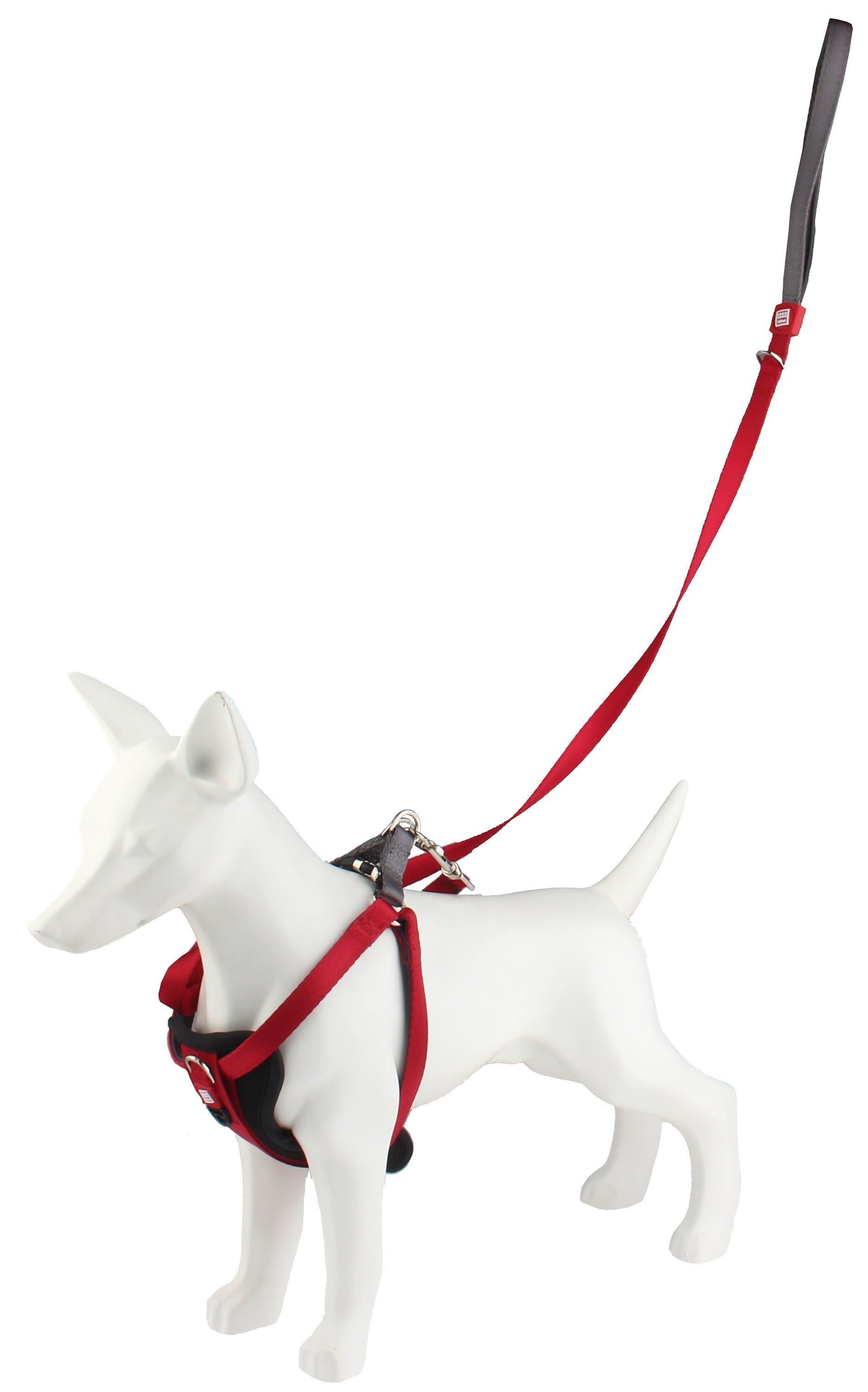 GiGwi Premium Line Harness for Dogs — back view