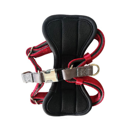 GiGwi Premium Line Harness for Dogs — detail shot