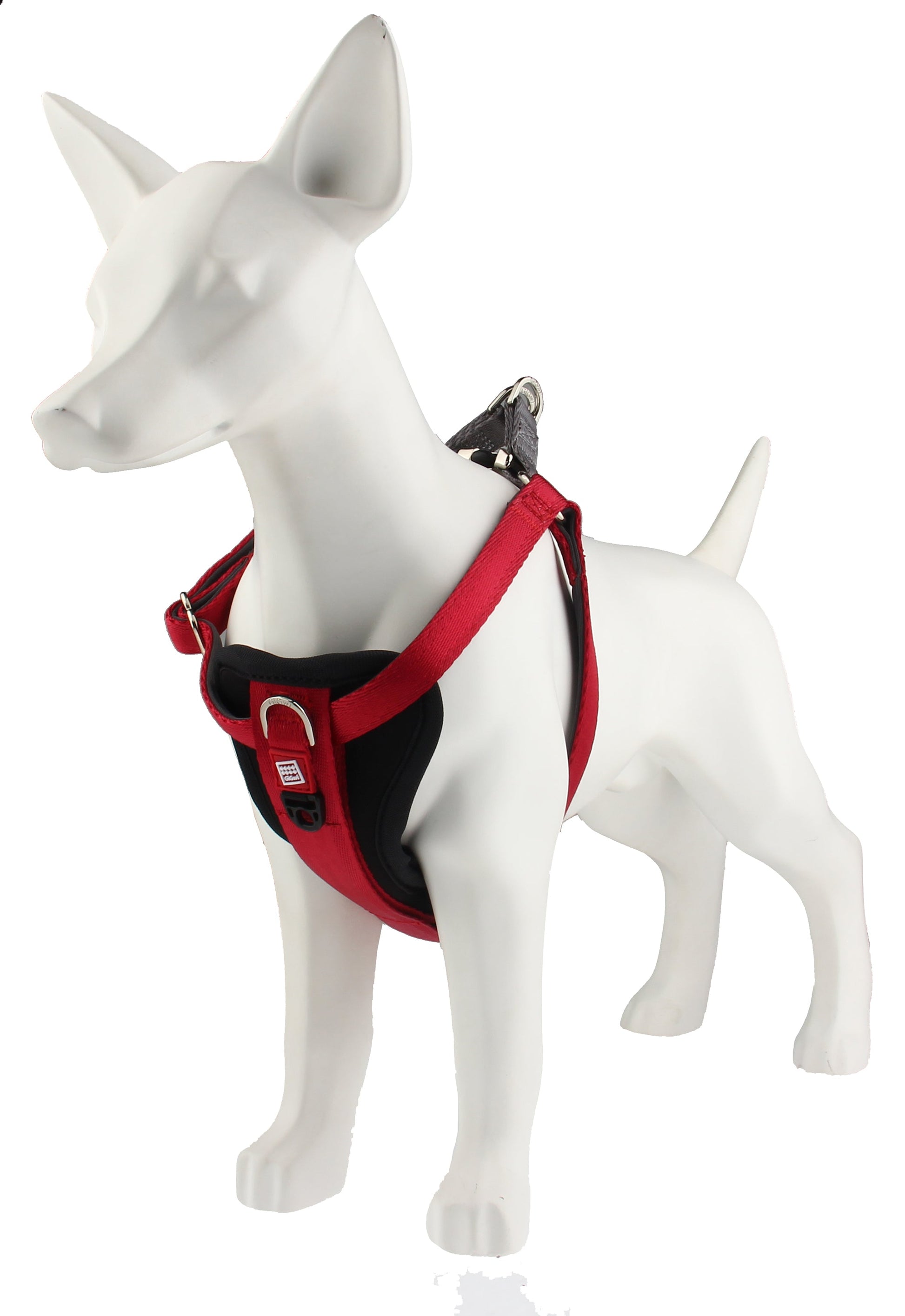 GiGwi Premium Line Harness for Dogs — in use