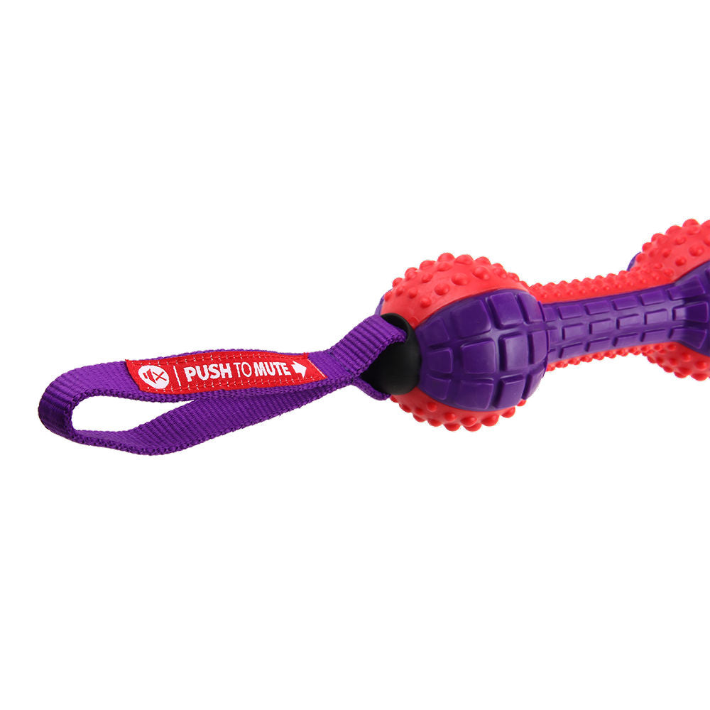 GiGwi Push To Mute Dumbell Toy for Dogs — in use