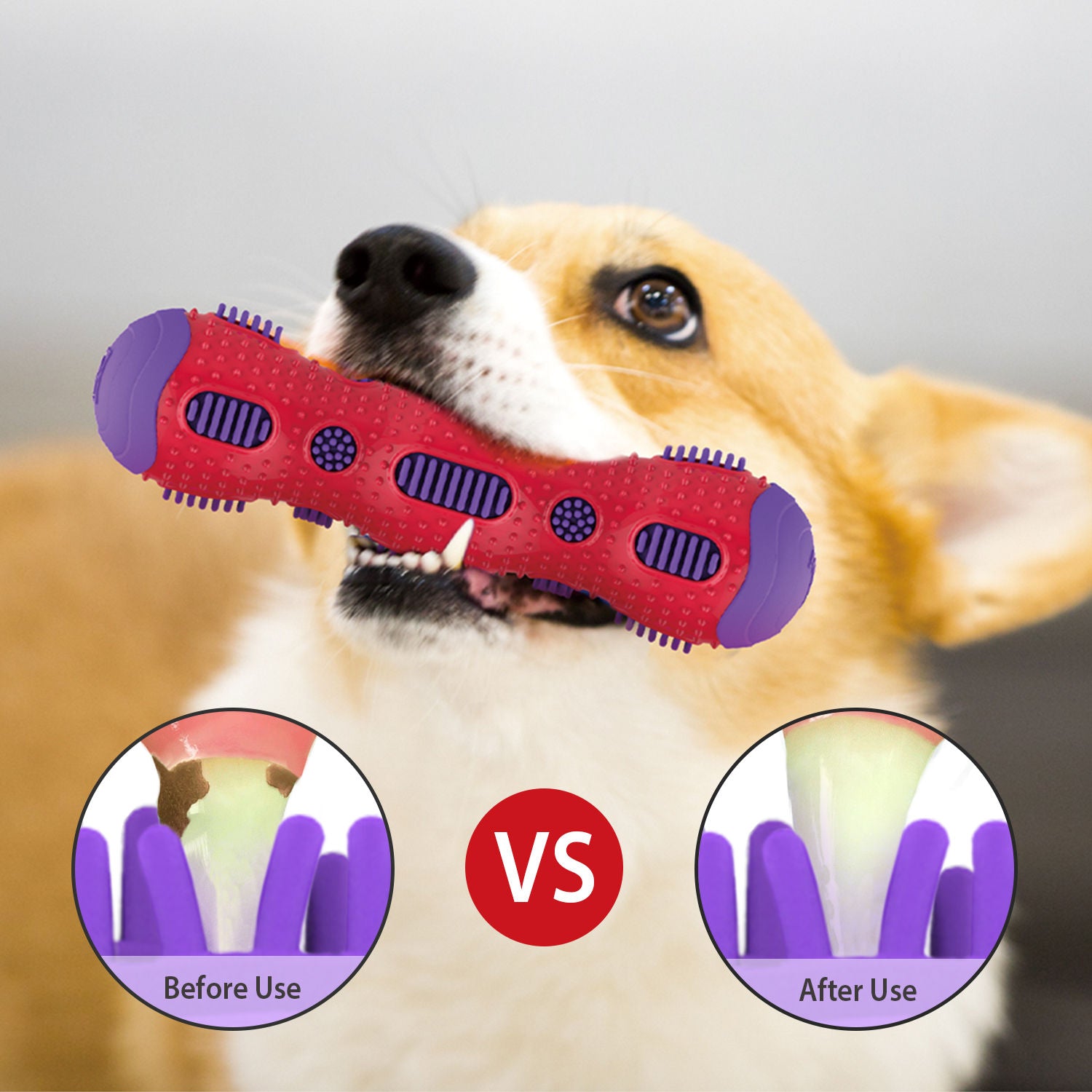 GiGwi Toothbrush Stick with Crackle Toy for Dogs — detail shot