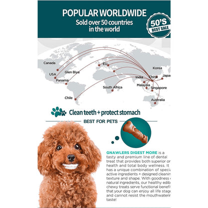 Gnawlers Digest Plus Prebiotics More Dental Chew Bone for Dogs — back view