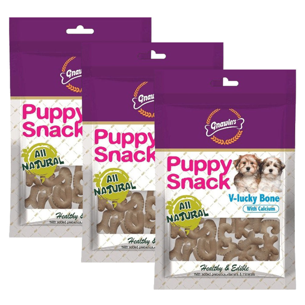 Gnawlers Puppy Snack V Lucky Bone Dog Treats — back view