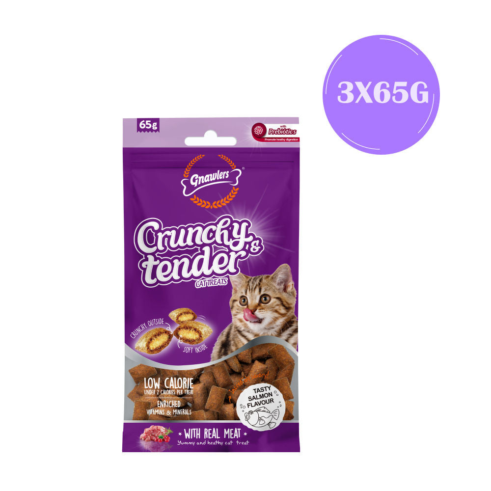 Gnawlers Salmon Crunchy Tender Cat Treats — back view