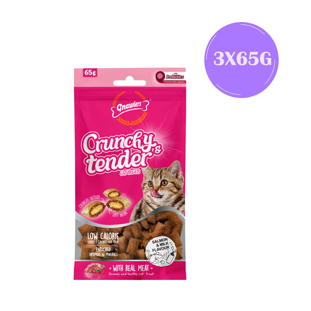 Gnawlers Salmon & Milk Crunchy Tender Cat Treats — back view
