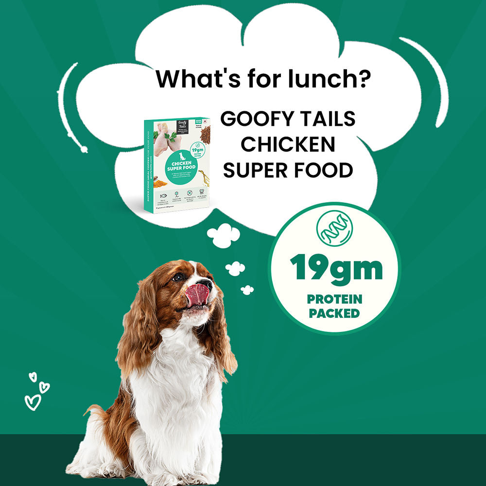 Goofy Tails Chicken Super Food Topper for Dogs & Puppies — in use