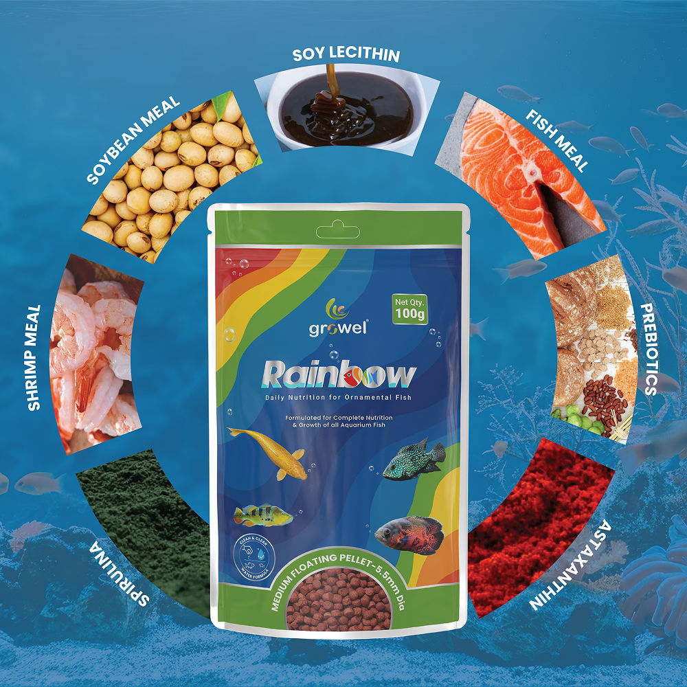 Growel Rainbow Medium 5 5Mm Floating Pellet For Fish - Image 3