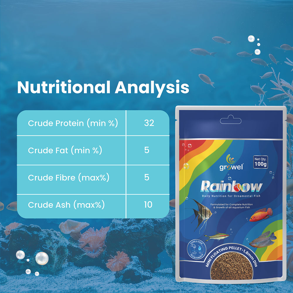 Growel Rainbow Medium 5 5Mm Floating Pellet For Fish - Image 4