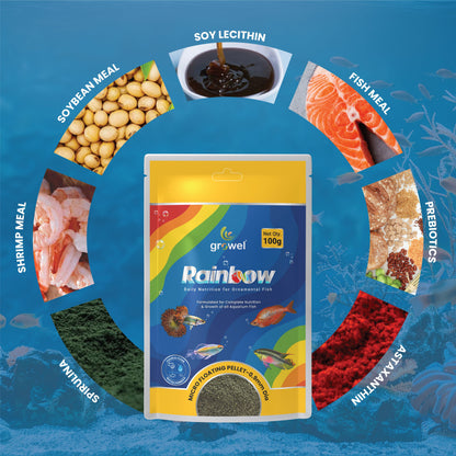 Growel Rainbow Micro 0 9Mm Floating Pellet For Fish - Image 5