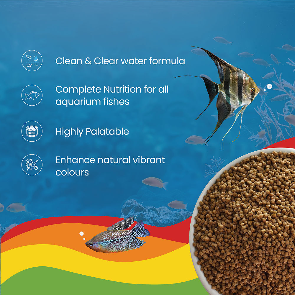 Growel Rainbow Mini 1 8Mm Floating Pellet For Fish - Image 5