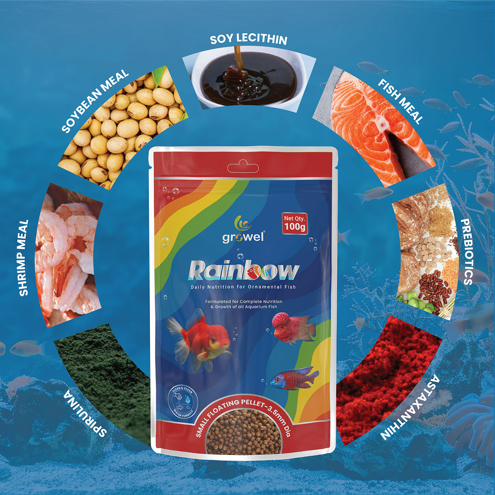 Growel Rainbow Small 3 5Mm Floating Pellet For Fish - Image 4