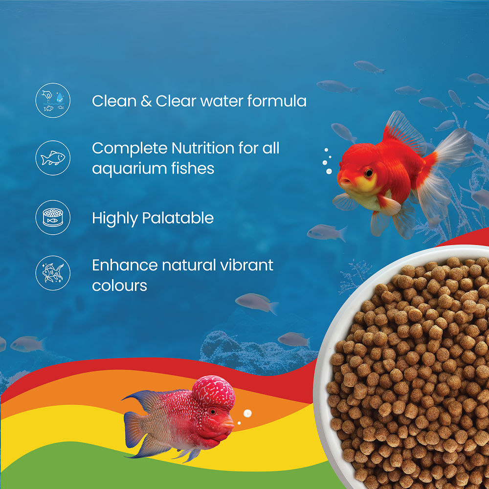 Growel Rainbow Small 3 5Mm Floating Pellet For Fish - Image 5