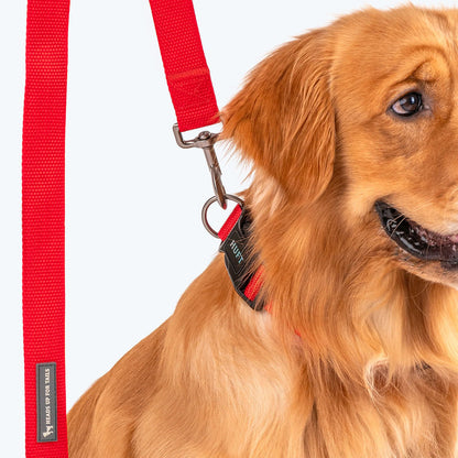 HUFT Basics Nylon Leash for Dogs — detail shot