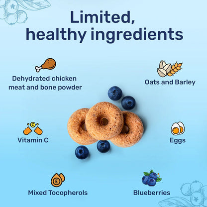 Huft Bagel Bites Gluten Free Real Chicken Blueberries Dog Treats