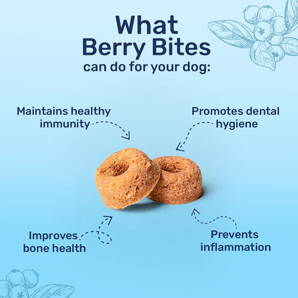 HUFT Berry Bites Real Chicken & Blueberries Dog Treats — side view