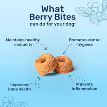 Huft Bagel Bites Gluten Free Real Chicken Blueberries Dog Treats - Image 2