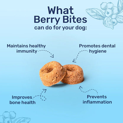 HUFT Berry Bites Real Chicken & Blueberries Dog Treats — side view