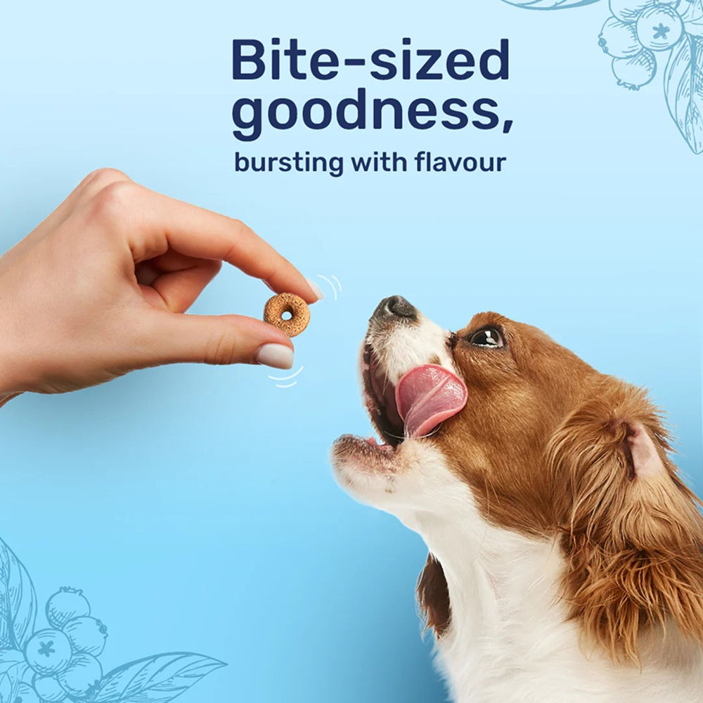 HUFT Berry Bites Real Chicken & Blueberries Dog Treats — back view