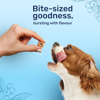 HUFT Berry Bites Real Chicken & Blueberries Dog Treats — back view