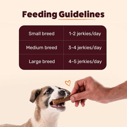 HUFT Chewbarks Gluten Free Smoked Chicken Soft Chew Strips Dog Treats — in use