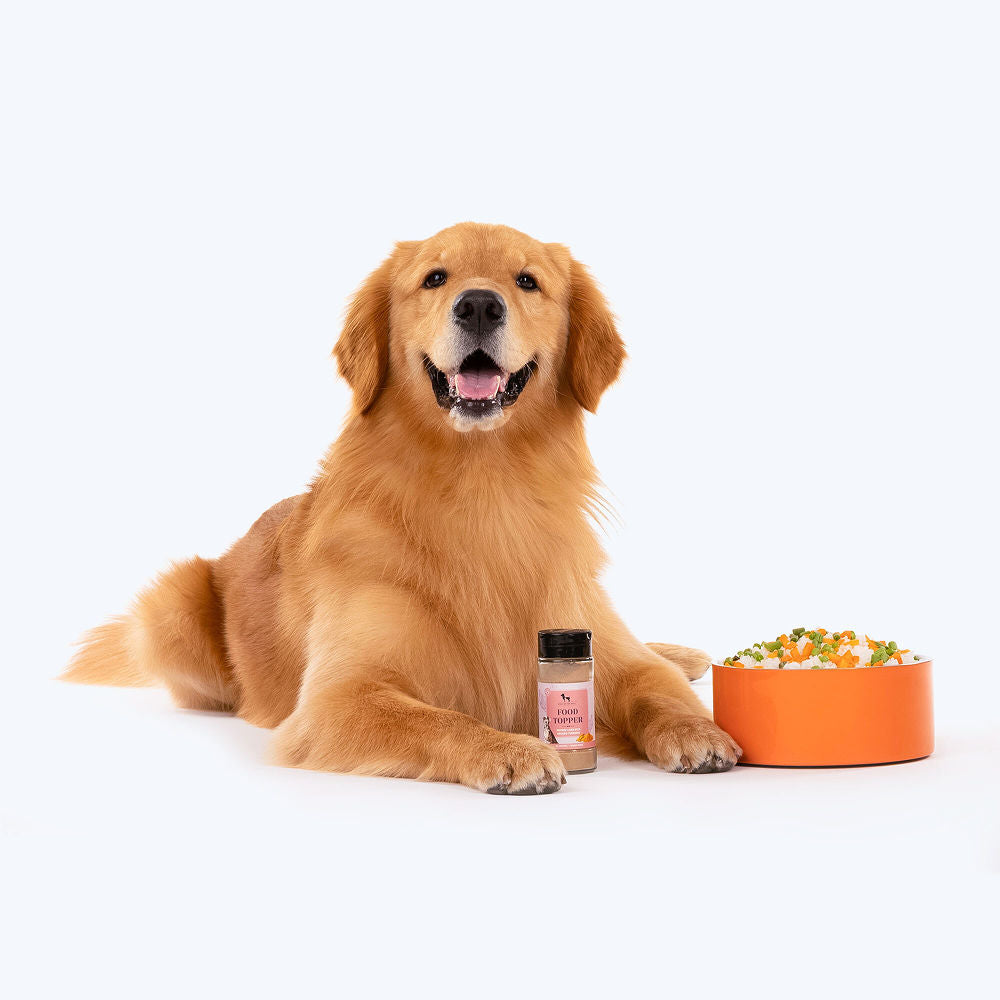 HUFT Chicken Liver with Organic Turmeric Food Topper for Dogs — back view