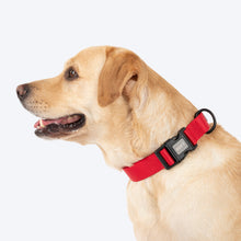 Huft Classic D Ring Collar For Dogs Cherry Red - Image 3