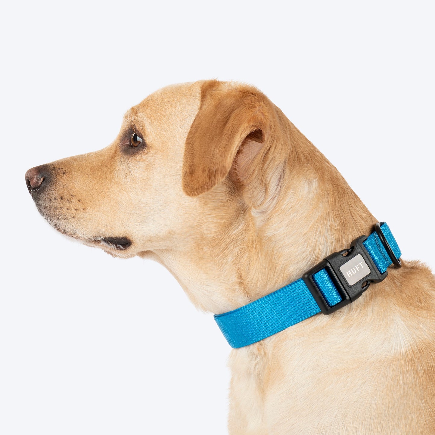 HUFT Classic D Ring Collar for Dogs — side view