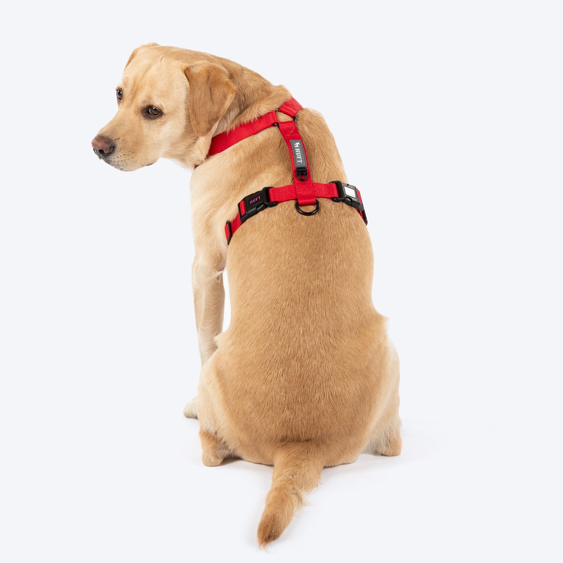 HUFT Classic H Harness for Dogs — side view